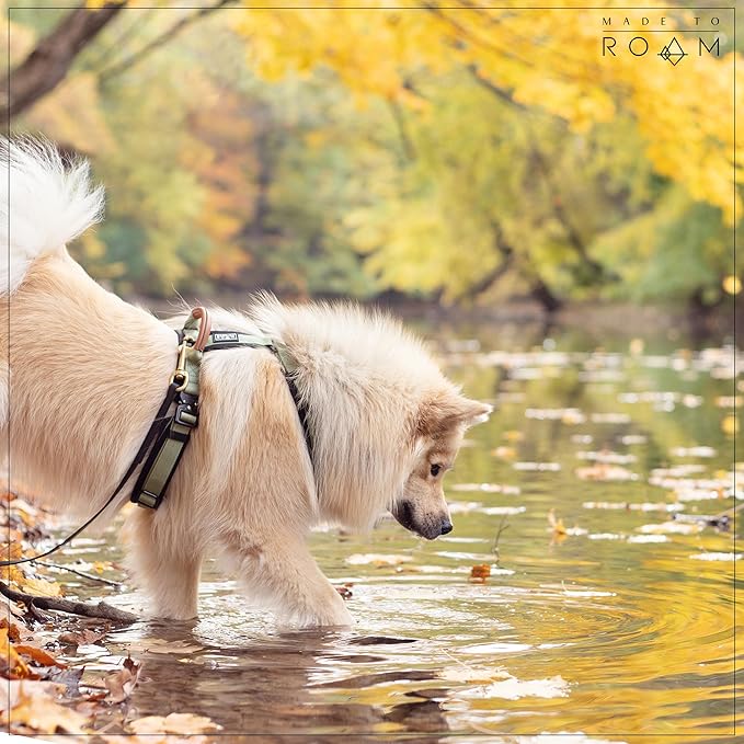 MADE TO ROAM Premium Explorer Harness - Y-Shaped Dog Harness with Adjustable Durable Nylon, Soft Padding, Metal Buckles and Leather Handle for Small, Medium, Large Dogs (Carolina Blooms, Size 6)