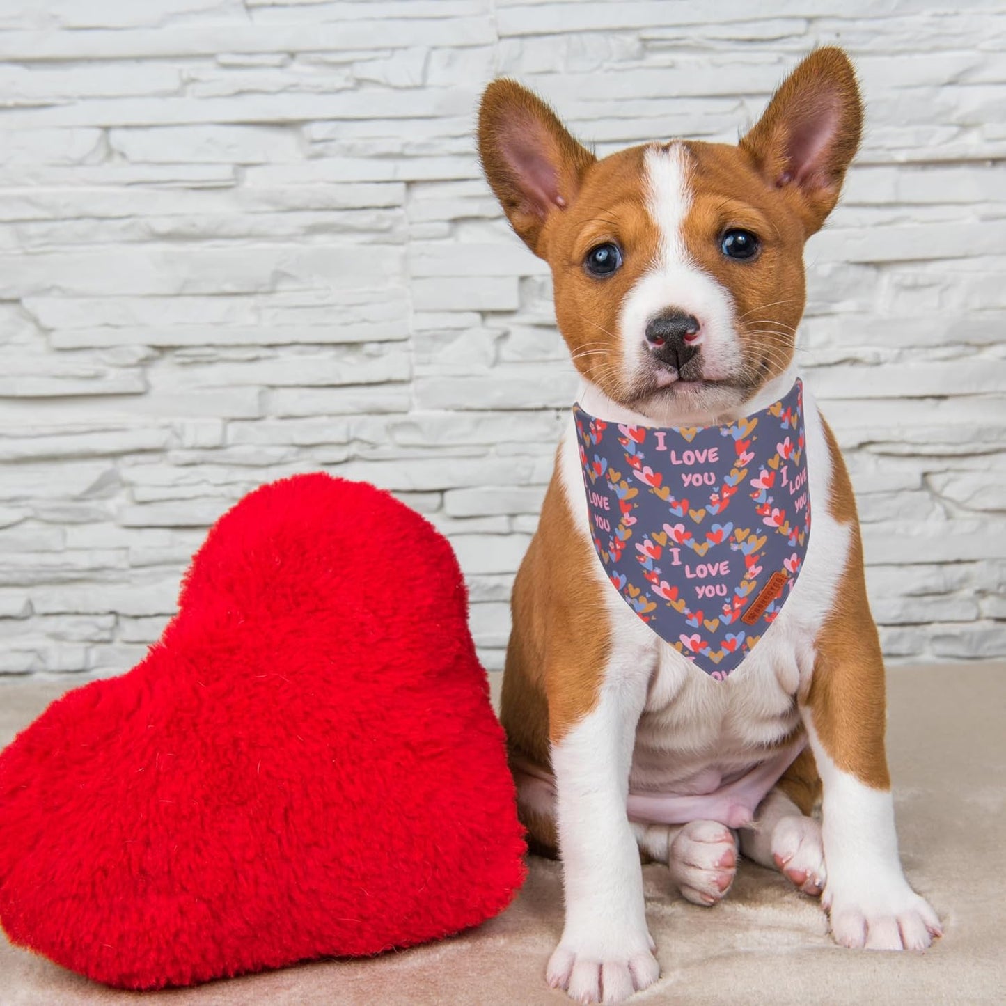 ADOGGYGO Valentine Dog Bandanas, Heart Love Floral Pet Scarf, Multi Size Offered, Pink Blue Pet Valentine Bandana for Small Dogs (Small)
