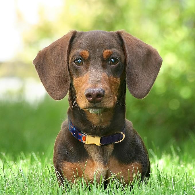 AirTag Dog Collar for Small Medium Large Breed - Adjustable Cute Pattern Dog Collar with Airtag Holder - Soft Leather Tracker GPS Apple Air Tag Pet Collars (Small, 12"-15" Neck Fit, Navajo)