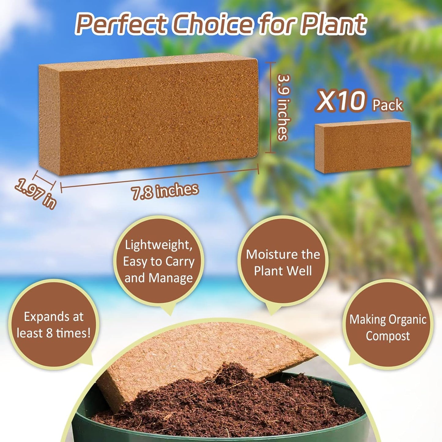 Riare 10pcs Organic Coco Coir Bricks Soil Blocks- 100% Natural Compressed Coco Peat Brick Coconut Fiber Substrate with Low EC& pH Balance, High Expansion Coco Coir Pith Coconut Husk for Garden