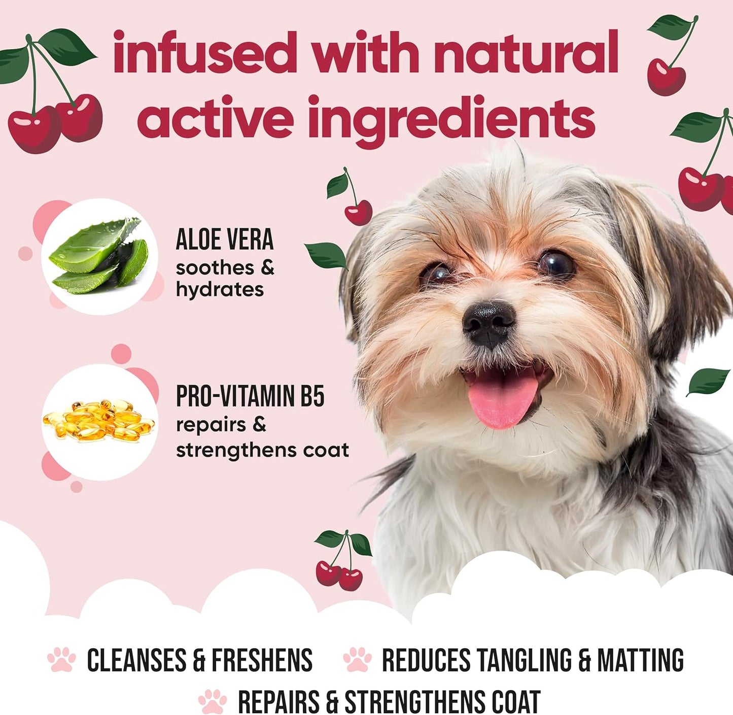 Black Cherry Dog Shampoo by Buddycare | Deep Cleansing Shampoo for Dogs | Black Cherry Scented | with Aloe Vera and Pro Vitamin B5 (33.8oz)