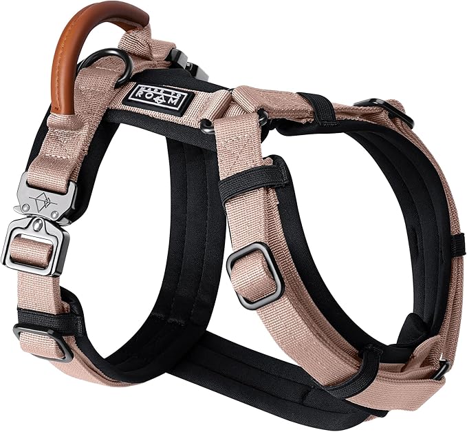 MADE TO ROAM Premium Explorer Harness - Y-Shaped Dog Harness with Adjustable Durable Nylon, Soft Padding, Metal Buckles and Leather Handle for Small, Medium, Large Dogs (Utah Glow, Size 7)