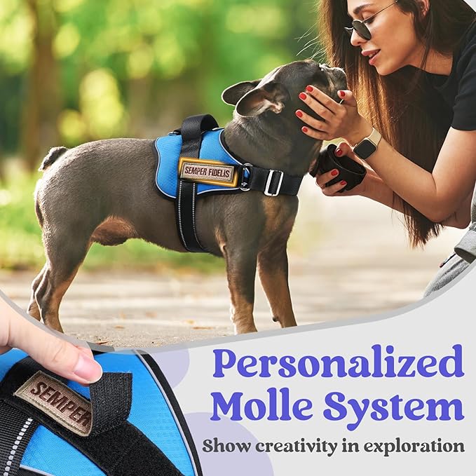 rabbitgoo Dog Harness Medium Sized, Easy On Pet Vest with One Buckle, No Pull Adjustable Service Harness with D-Ring & Handle, Reflective for Safety Walking, Training, Blue, M