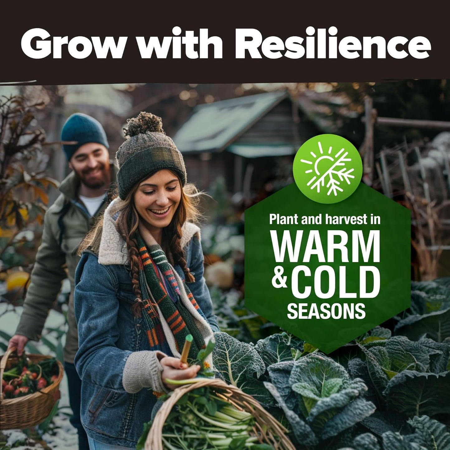 HOME GROWN 𝗨𝗦𝗔 𝗣𝗥𝗘𝗠𝗜𝗨𝗠 10 Variety Vegetable 2,000+ 𝗡𝗢𝗡-𝗚𝗠𝗢 Seeds (Kale Lettuce Tomato Broccoli Beans Peas Bell Peppers Carrot Cucumber Radish) – Indoor & Outdoor Garden Survival Seeds