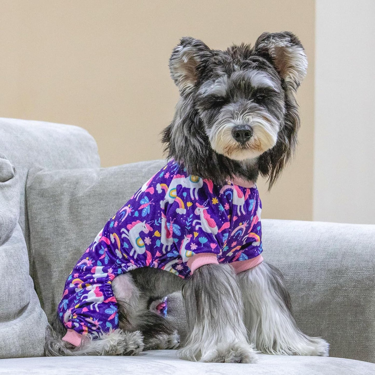 CuteBone Dog Halloween Pajamas Puppy Onesies Small Dogs Soft Pjs Coat Cat Apparel Comfy Pet Christmas Clothes Outfit Doggie Bodysuit P291M