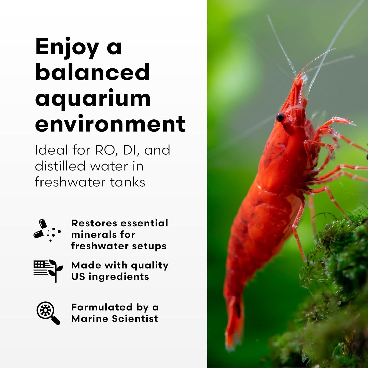 Brightwell Aquatics Remineraliz - Adds Minerals to Distilled, Deionized, or Reverse Osmosis Water for Freshwater Aquarium Use 500-ml