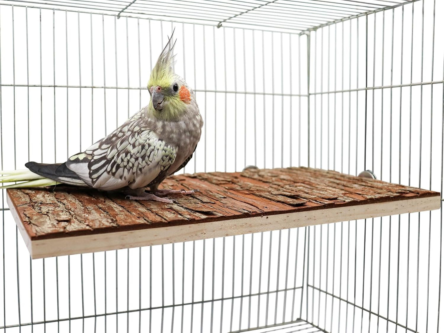 13.6 × 7.9 inch Large Bird Perch Stand Platform, Natural Wooden Small Animals Cage Accessories, Rectangle Stand Perch Shelf for Parrot Parakeet Cockatiel Rat Hamster Guinea Pig Conures Chinchillas