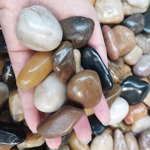 XXYXXY River Stones, Plants, Gardens, Landscapes, Succulents, Highly Polished Decorative Pebbles in Shapes and Sizes from 1-3 inches. (5.7LB, 1)