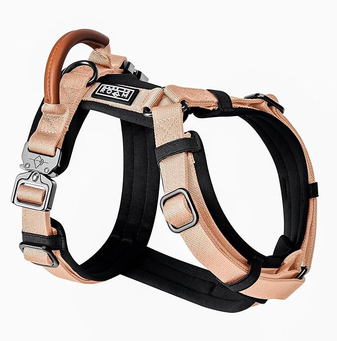 MADE TO ROAM Premium Explorer Harness - Y-Shaped Dog Harness with Adjustable Durable Nylon, Soft Padding, Metal Buckles and Leather Handle for Small, Medium, Large Dogs (Carolina Blooms, Size 6)
