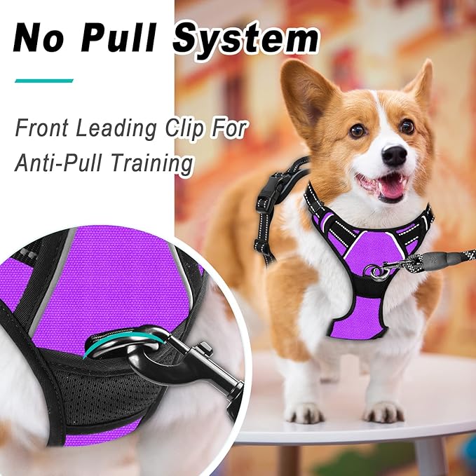 BARKBAY No Pull Dog Harness Large Step in Reflective Dog Harness with Front Clip and Easy Control Handle for Walking Training Running(Purple,XL)