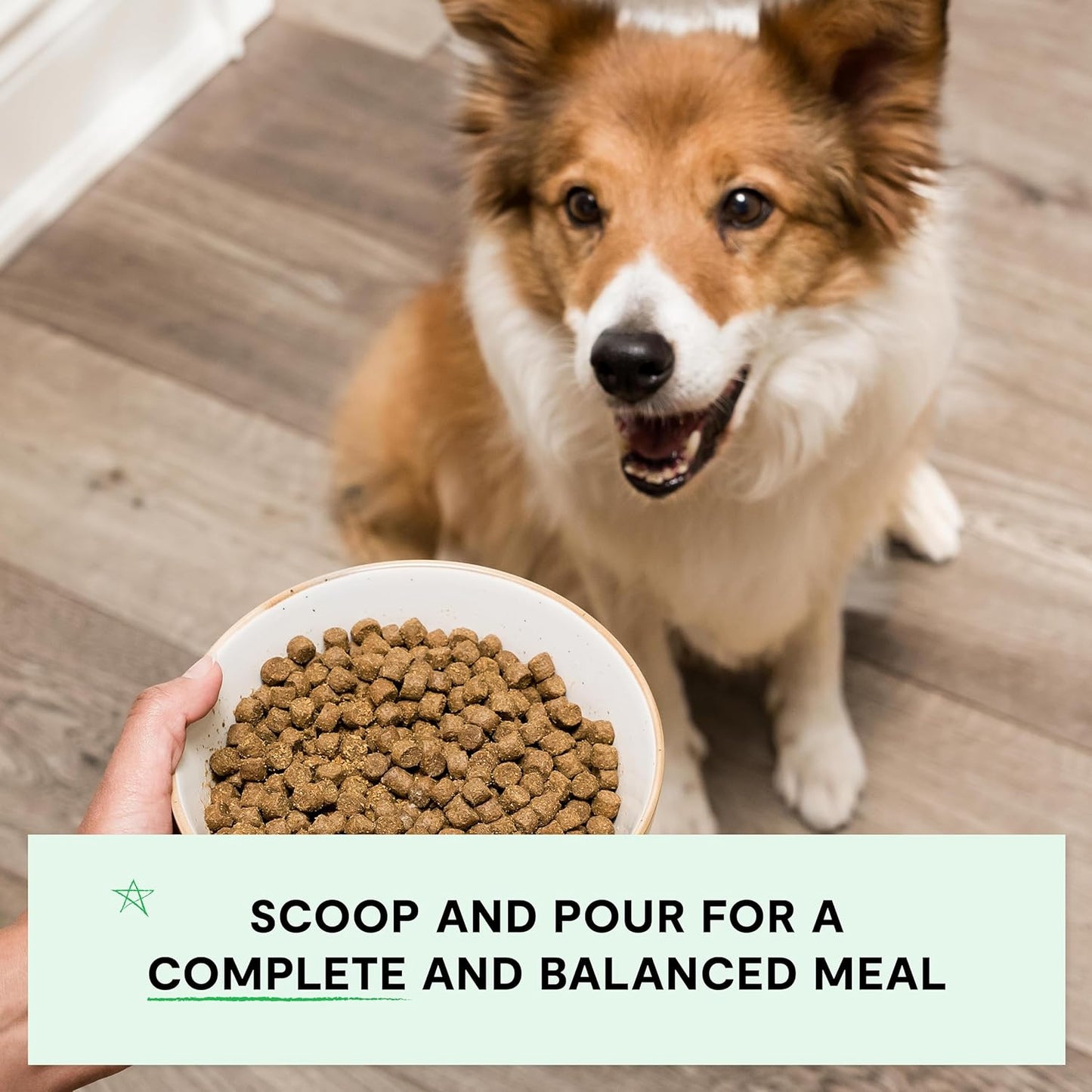Open Farm, Grain-Free Dry Dog Food, Complete & Balanced Kibble, Sustainably & Ethically Sourced Ingredients, Non-GMO Veggies & Superfoods to Support Overall Health, Wild-Caught Salmon Recipe, 22lb Bag