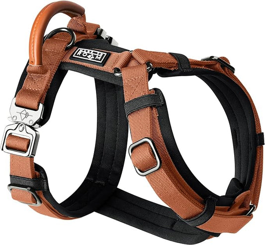 MADE TO ROAM Premium Explorer Harness - Y-Shaped Dog Harness with Adjustable Durable Nylon, Soft Padding, Metal Buckles and Leather Handle for Small, Medium, Large Dogs (Nevada Evening, Size 5)