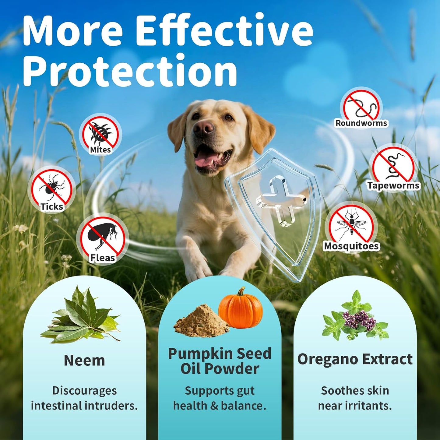 Flea & Tick Drops for Dogs – Natural Prevention with Neem, Oregano – Oral Flea &Tick Support, Long-Lasting Liquid Treatment with Skin Care for Puppy All Breeds & Sizes, Chicken Flavor, 2 FL Oz