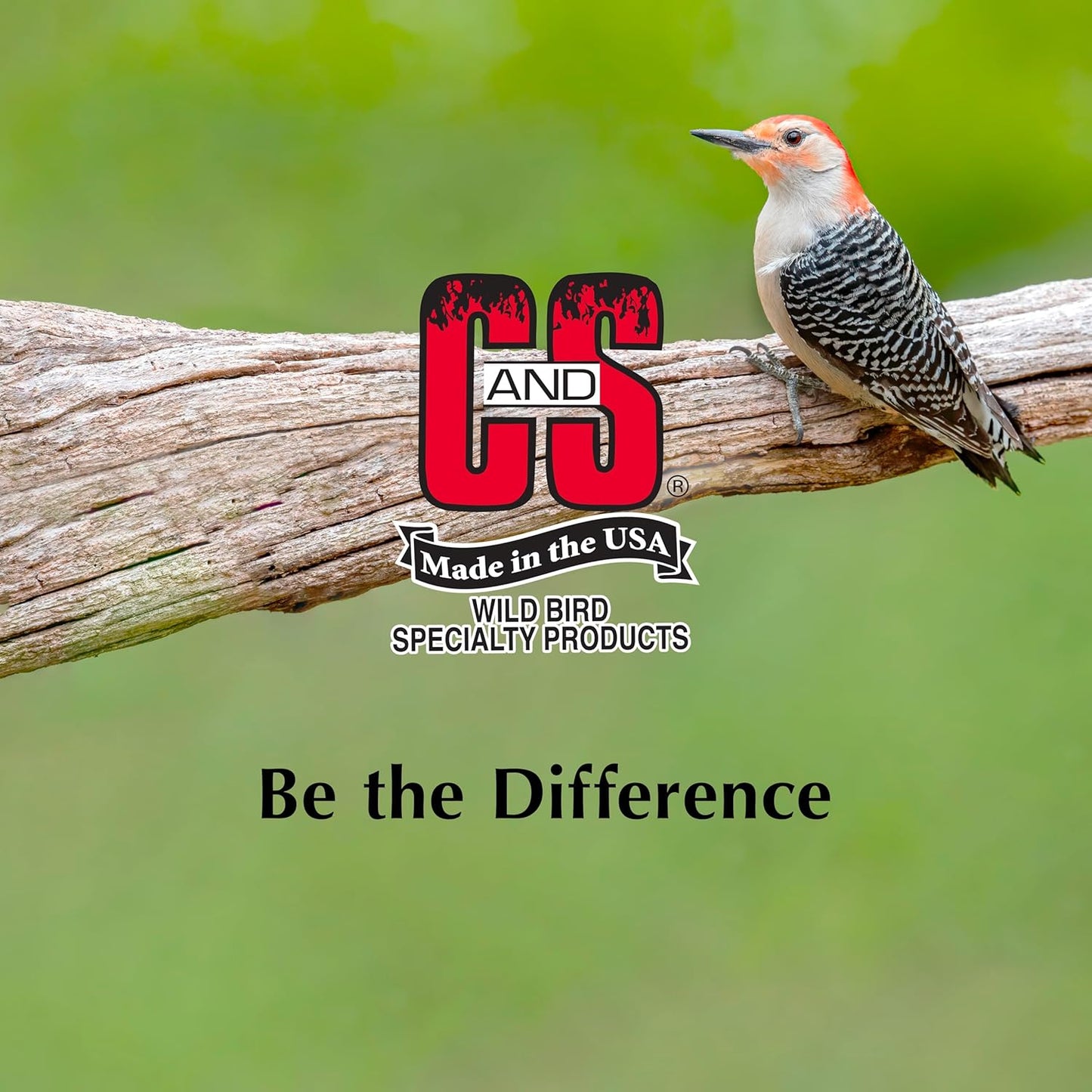 C&S Mealworm Suet Nuggets, for Wild Birds, 27 Ounces