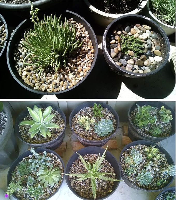 Voulosimi 12 LBS River Rock Stones, Natural Decorative Polished Mixed Pebbles Gravel,Outdoor Decorative Stones for Plant Aquariums, Landscaping, Vase Fillers