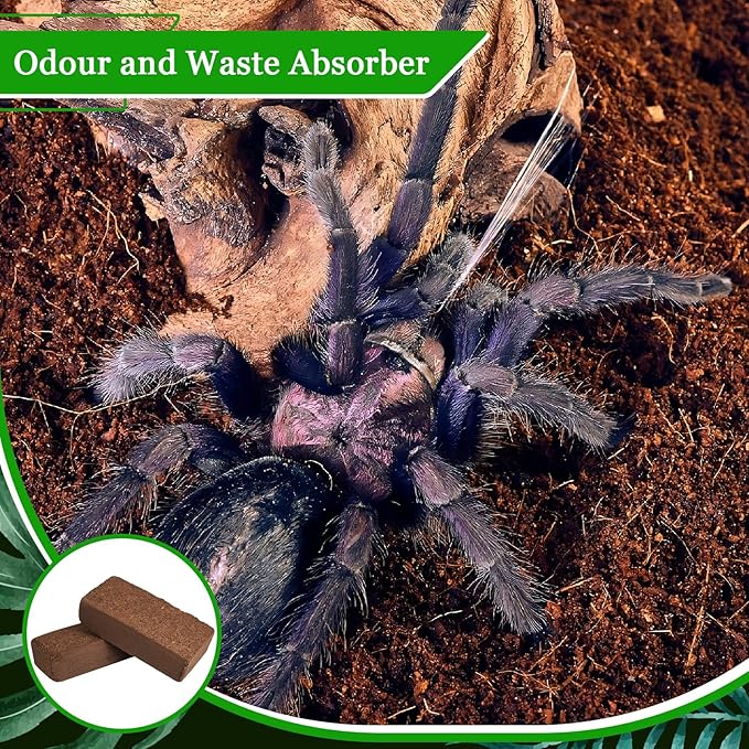 Riare 6 Pack Natural Coconut Fiber Substrate for Reptile- Premium Compressed Coconut Husk Terrarium Bedding for Reptile, Tortoise, Frogs, Snakes Hermit Crabs, Burrowing Animals