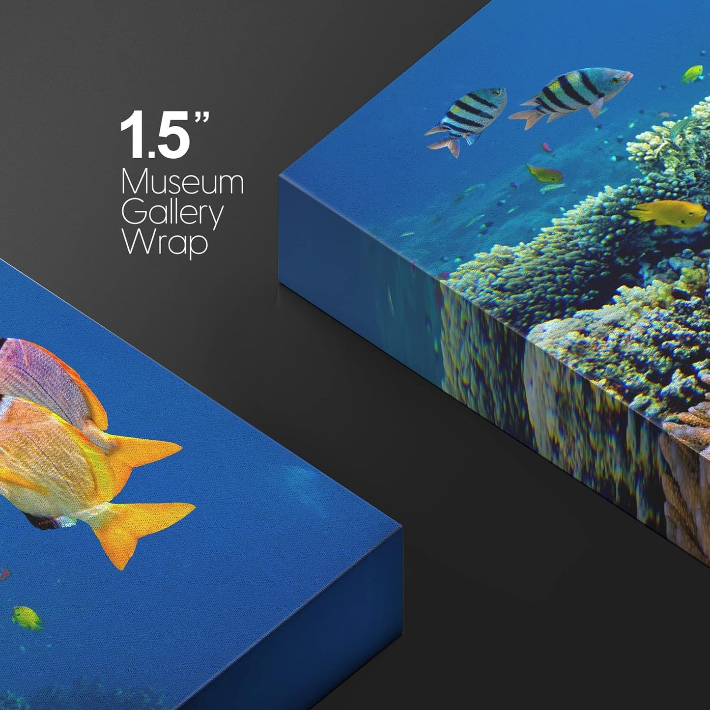 wall26 Canvas Print Wall Art Vibrant Coral Reef Underwater Panorama Nature Animals Photography Realism Rustic Scenic Landscape Wilderness Earth Colorful for Living Room, Bedroom, Office - 32"x48"