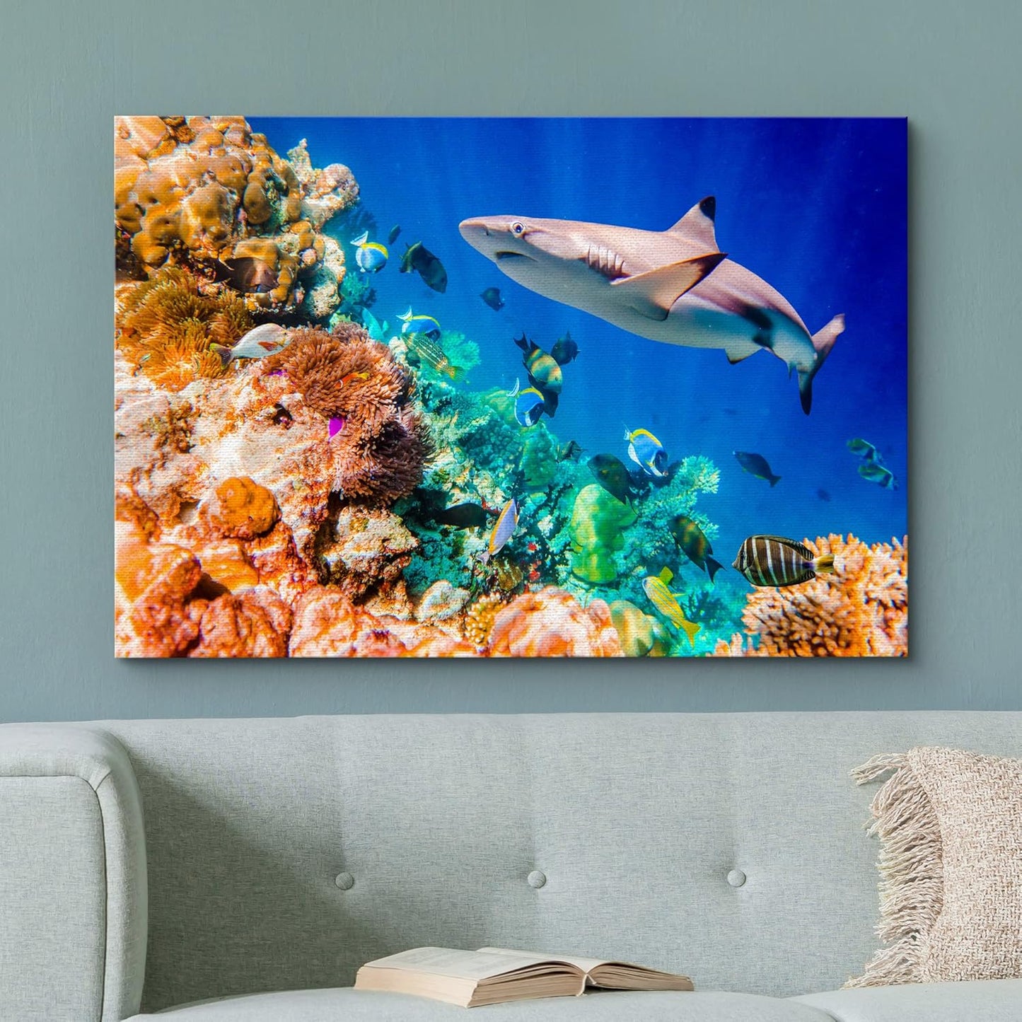 wall26 Canvas Print Wall Art Shark Fish Multicolor Coral Reef Ocean Sea Nature Animals Photography Realism Rustic Scenic Landscape Wilderness Earth for Living Room, Bedroom, Office - 12"x18"