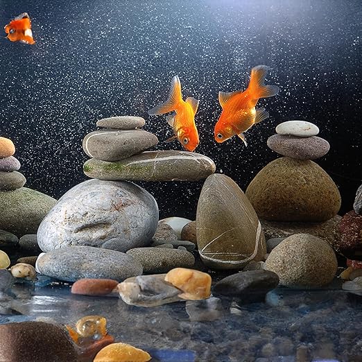 40lbs Black River Rocks, 1-2 Inch Natural Unpolished Bulk Pebbles, Hand-Picked Premium Stones for Landscaping and Garden Design, Fish Tank, Flower Pots, Pathways and Backyard