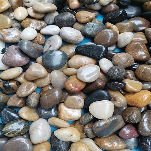 XXYXXY River Stones, Plants, Gardens, Landscapes, Succulents, Highly Polished Decorative Pebbles in Shapes and Sizes from 1-3 inches. (5.7LB, 1)