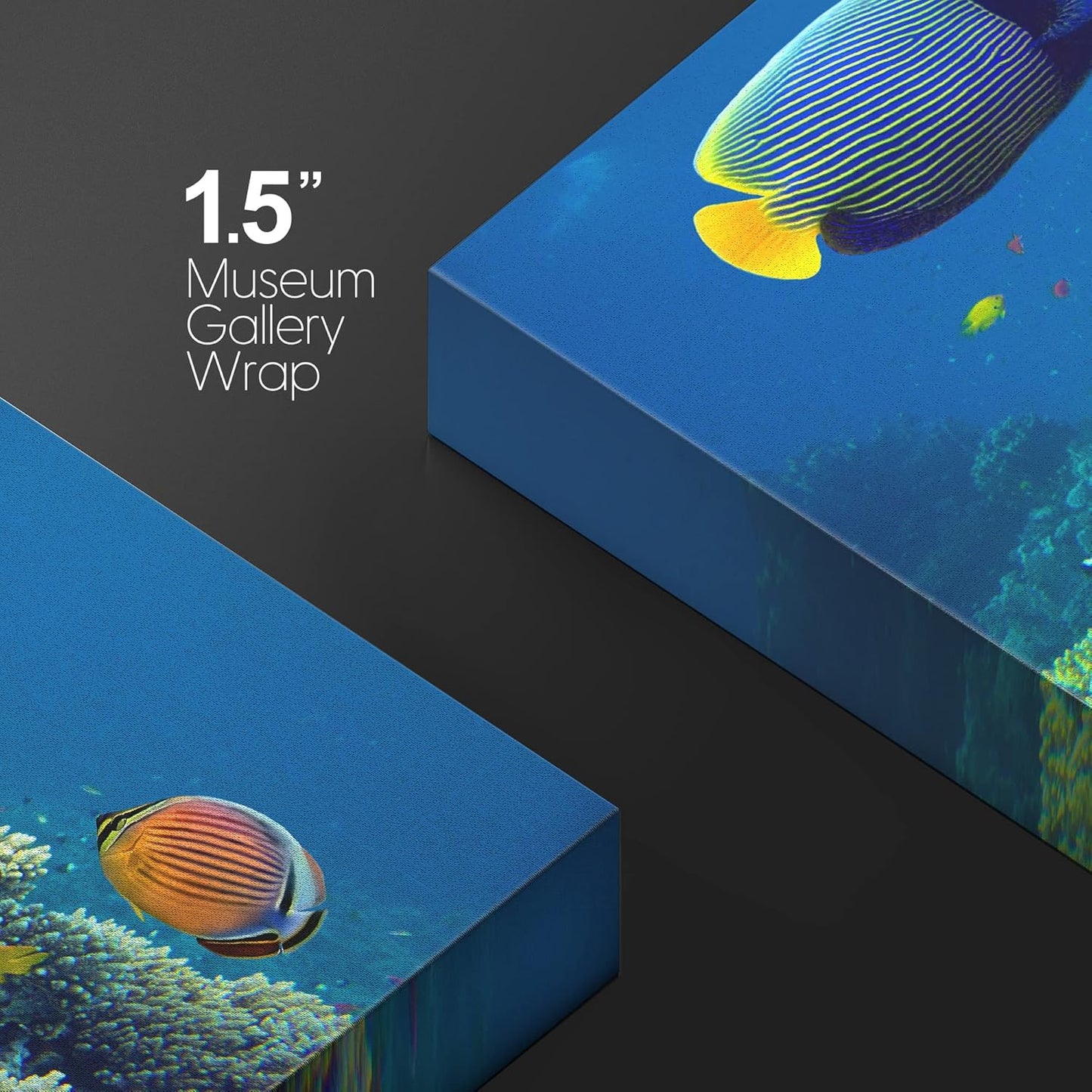 wall26 Canvas Print Wall Art Tropical Underwater Sea Coral Reef Fish Nature Animals Photography Realism Rustic Scenic Landscape Wilderness Earth Colorful for Living Room, Bedroom, Office - 32"x48"