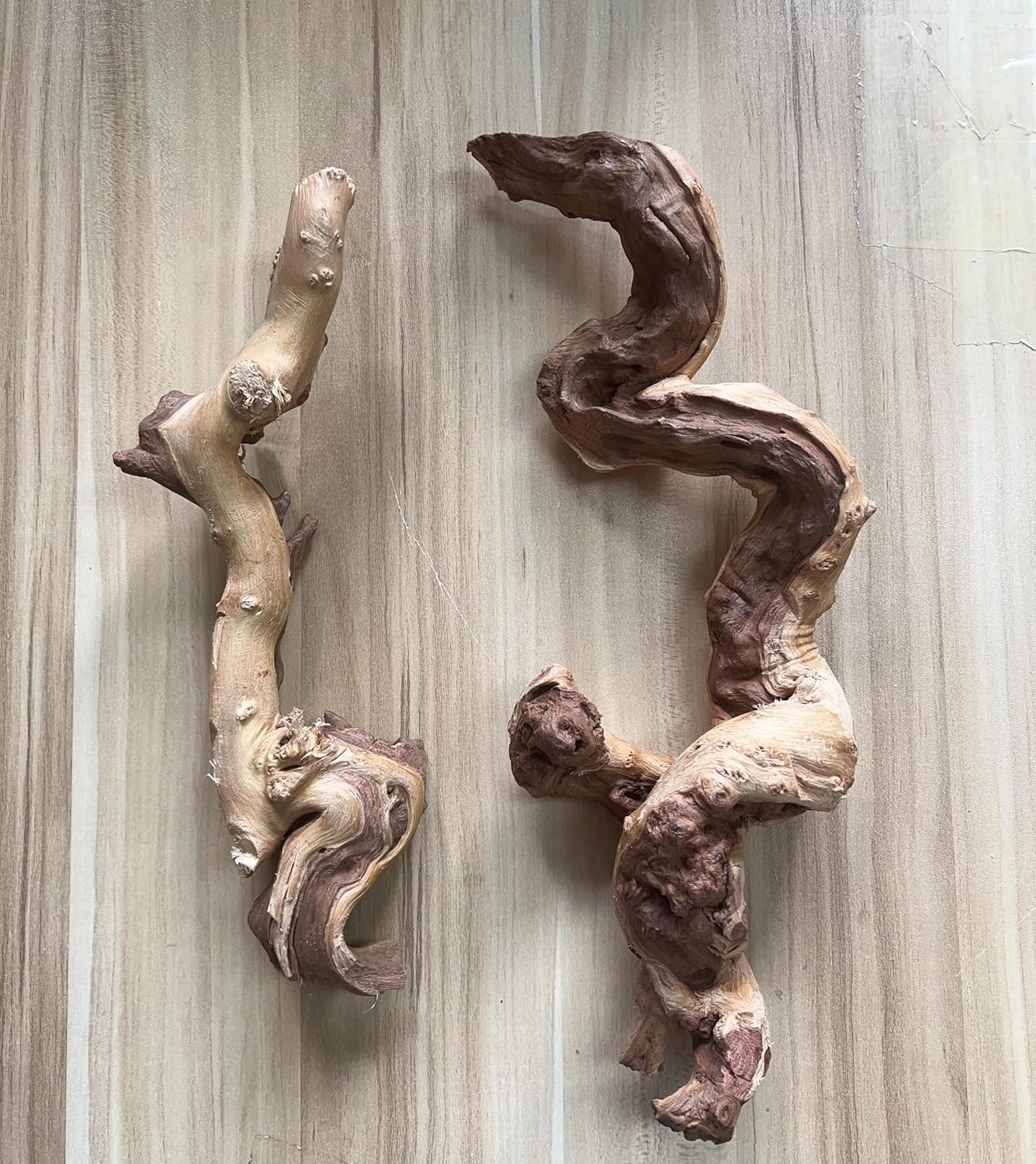 Small Natural Driftwood for Aquarium Styling Carefully Selected Natural Aquarium Decor Driftwood for Reptile Tank Reptile Tank Wood Decor (2pcs grapewood Branch 10-12inch)