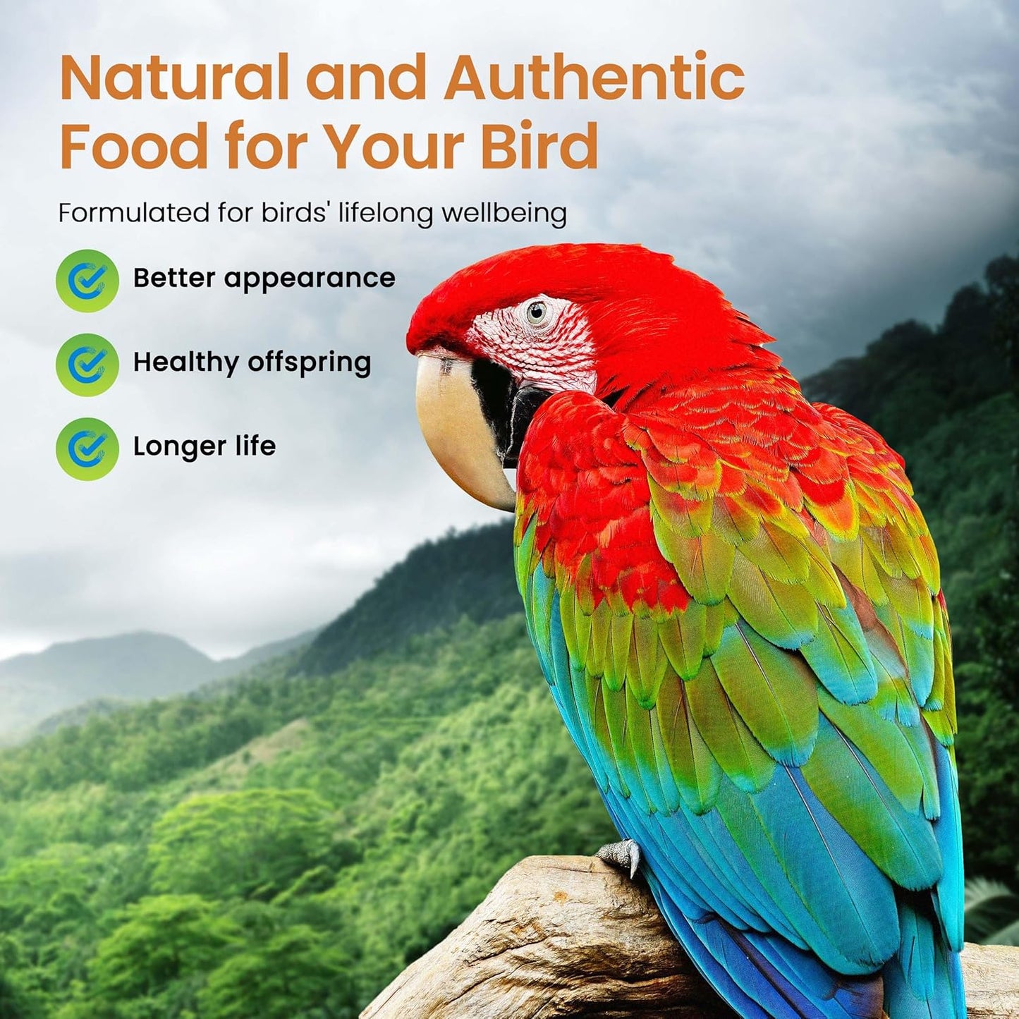 Harrison's Bird Foods High Potency Coarse—Maximum Nutritional Formula for Small to Medium Birds, Certified Organic Non-GMO Pet Bird Food, Vet-Developed, Suitable for All Life Stages, 454 g/ 1 lb