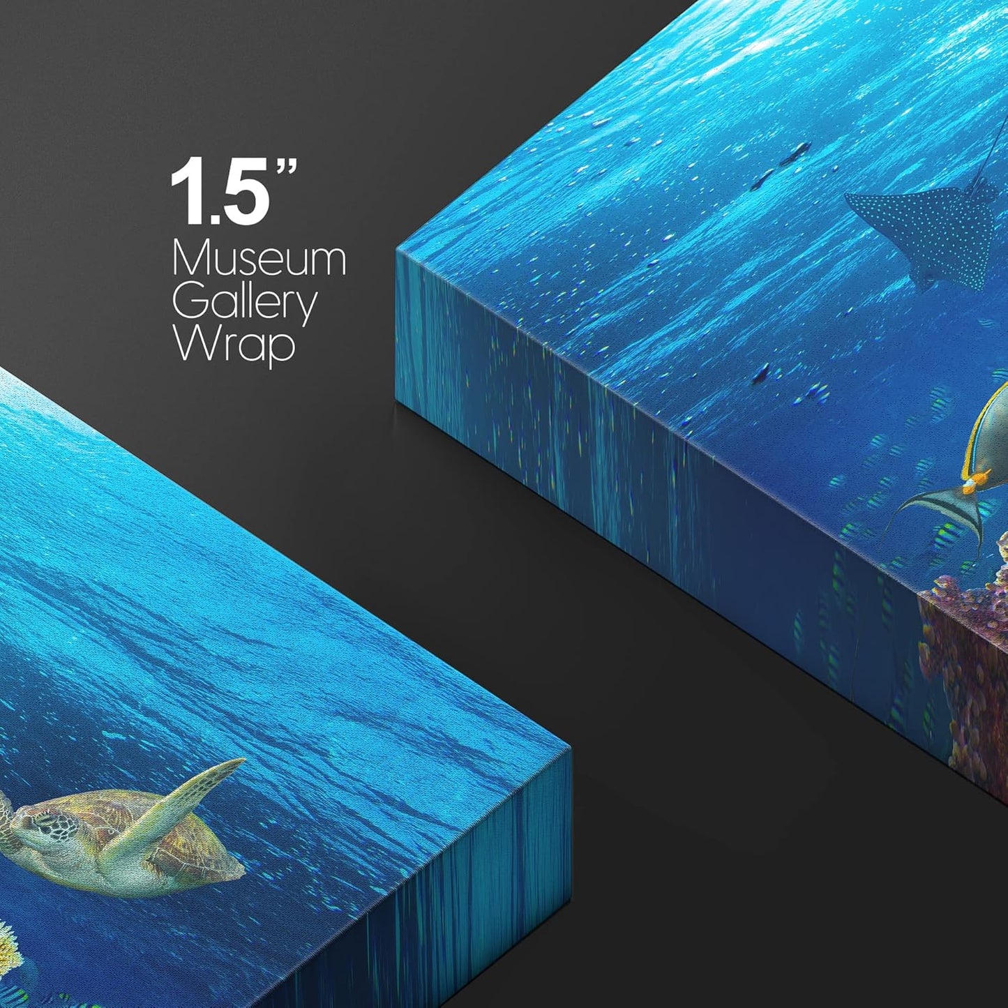 wall26 Canvas Print Wall Art Vibrant Sunshine Ray Coral Reef Turtle Fish Nature Animals Photography Realism Rustic Scenic Landscape Wilderness Colorful for Living Room, Bedroom, Office - 16"x24"