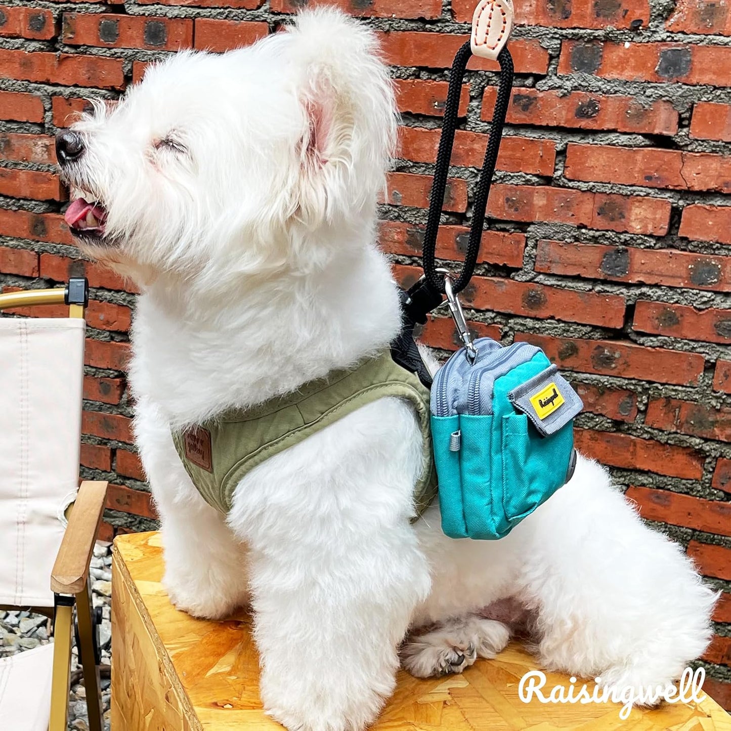 Dog Treat Pouch for Pet Walking and Training with Clicker Poop Bags and Three Bags Design Small Fanny Zipper Pack Holder for Puppy Snack Dispenser Kit for Leash and Outdoor Use (Green)