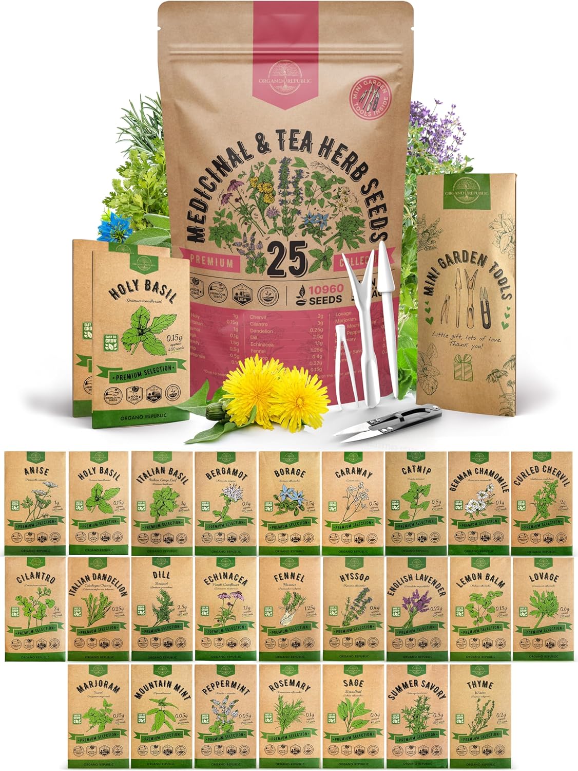 Organo Republic 25 Medicinal & Tea Herb Seeds Variety Pack for Indoor & Outdoors. 10900+ Non-GMO Heirloom Garden Seeds: Anise, Borage, Cilantro, Chamomile, Dandelion, Rosemary, Peppermint Seeds