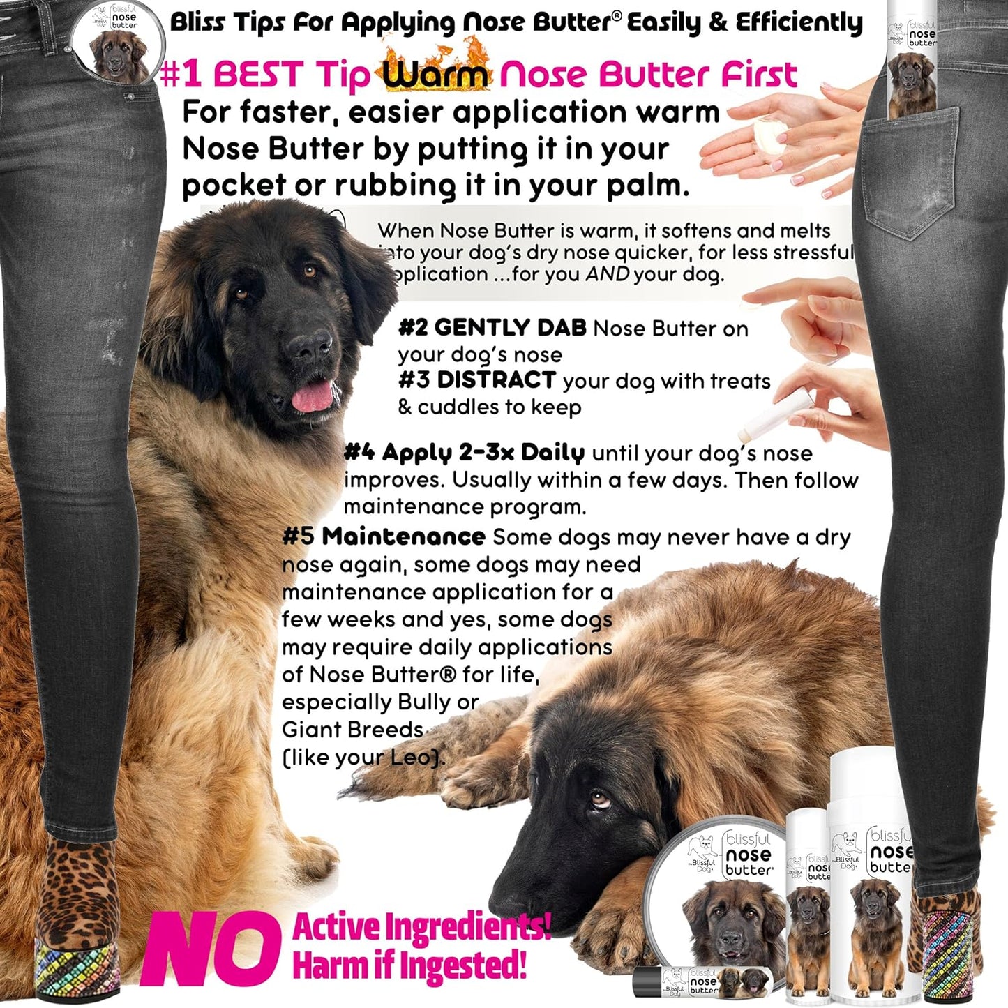 The Blissful Dog Leonberger Nose Butter for Dry, Cracked Skin, Lick-Safe Dog Nose Balm with Moisturizing Shea Butter, Almond, Olive, and Essential Oils, Pet Supplies, Uncented, 8 oz.