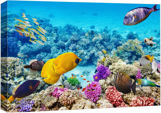 wall26 Canvas Print Wall Art Tropical Underwater Ocean Sea Fish Reef Nature Animals Photography Realism Rustic Scenic Landscape Wilderness Earth Colorful for Living Room, Bedroom, Office - 16"x24"