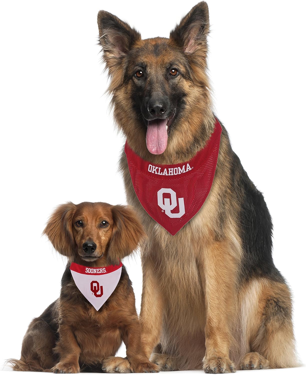 Pets First Collegiate Pet Accessories, Reversible Bandana, Indiana Hoosiers, Large/X-Large
