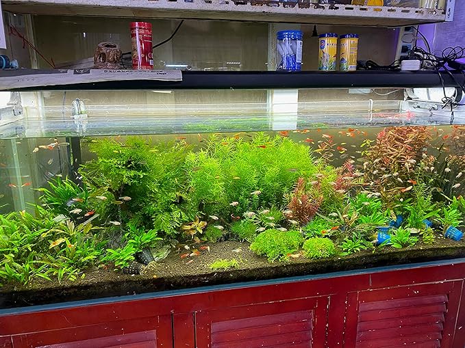 LANDEN Aqua Soil Substrate for Natural Planted Aquarium, Plant or Shrimp Stratum, Clay Gravel and Stable Porous Substrate for Freshwater Aquarium, Black Color (20 lbs)