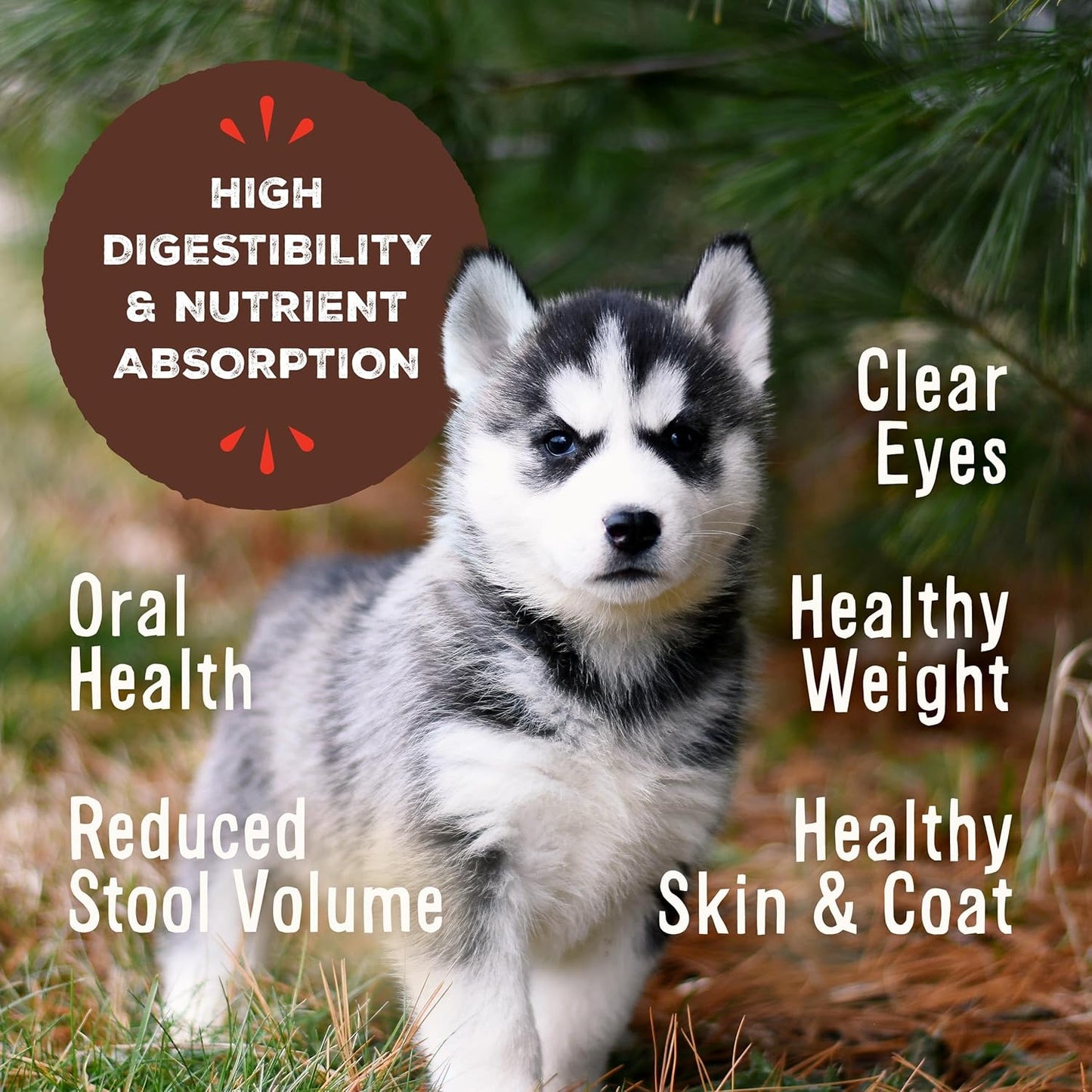 Primal Freeze Dried Puppy Dog Food, Pronto Mini Nuggets; Scoop & Serve, Complete & Balanced Meal; Also Use As Topper or Treat; Premium, Healthy, Grain Free, High Protein Raw Dog Food (25 oz)