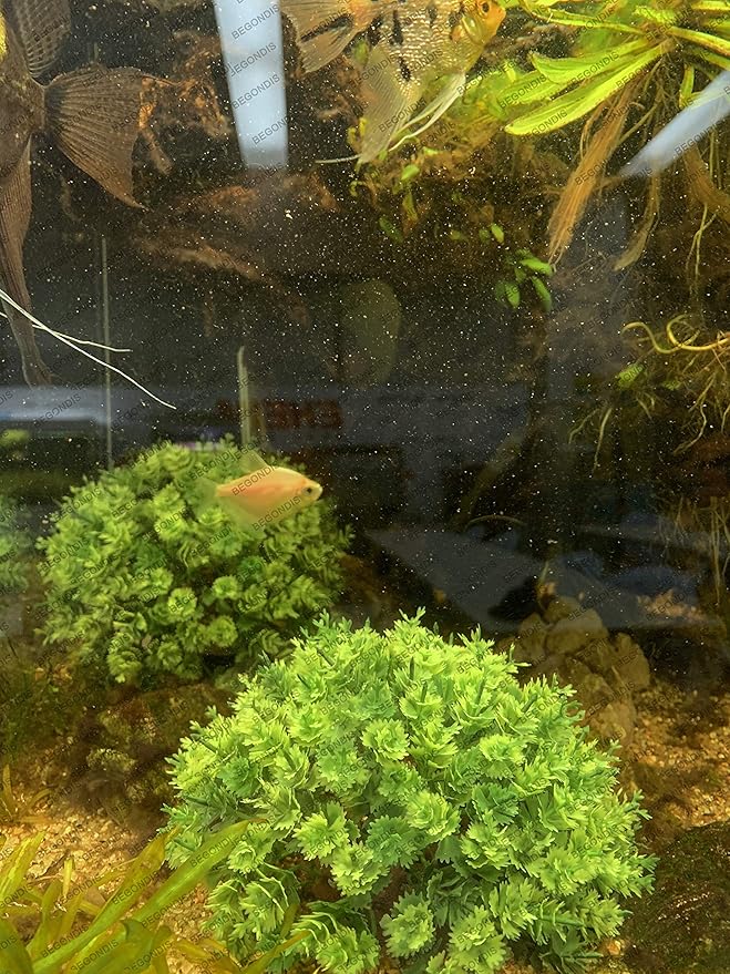 BEGONDIS 2Pcs Aquarium Decorations Fish Tank Artificial Green Water Plants Made of Soft Plastic