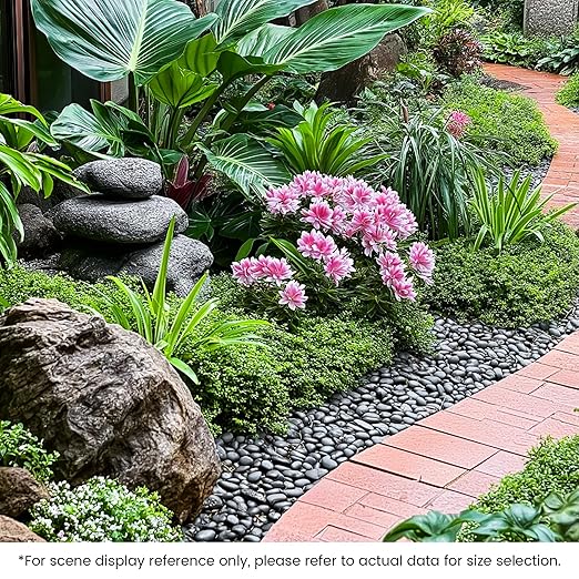 SIDONG 10 lbs Black River Rocks, 1.2-2 Inches Polished Pebbles for Indoor Plants, Aquarium Rocks Used in Fish Tank, Decorative Stones for Plants, Vases, Home Décor, Crafting, Garden Landscaping