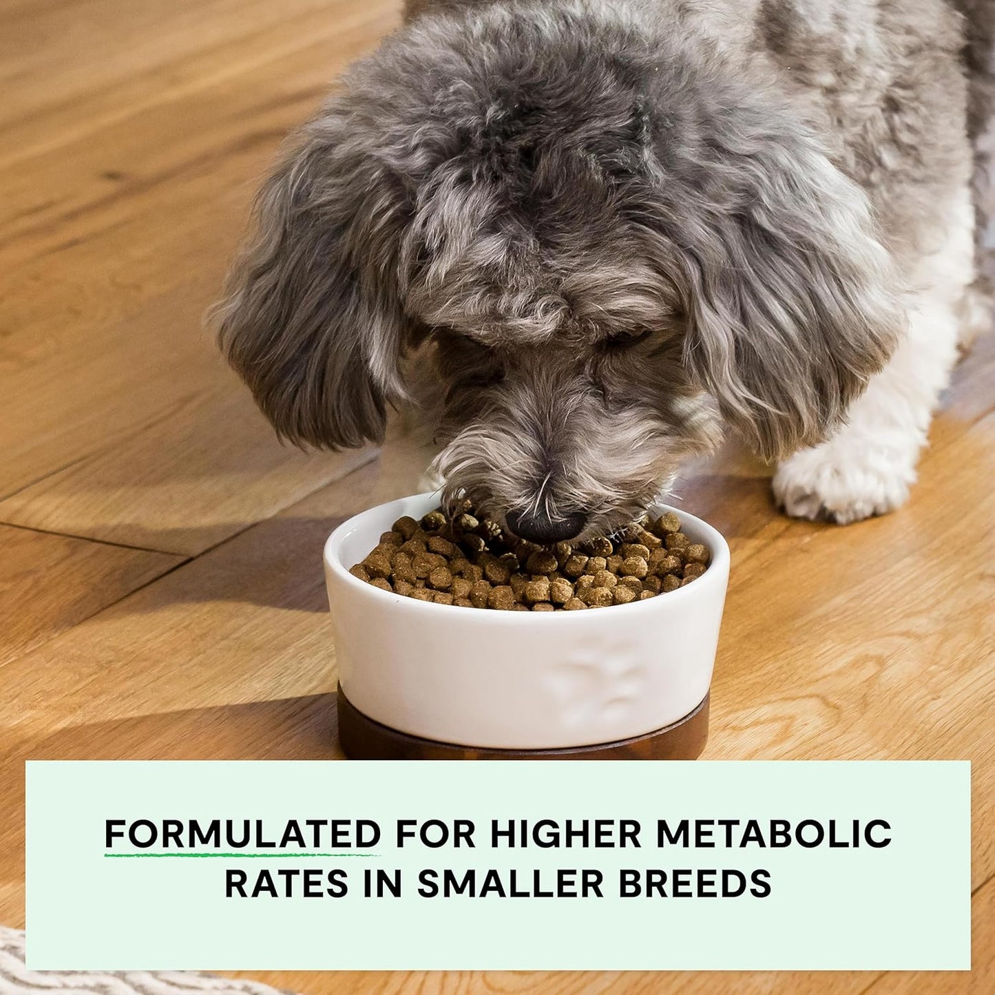 Open Farm, Grain-Free Dry Dog Food for Small Breeds, High-Protein Kibble, Sustainably & Ethically Sourced Ingredients, Non-GMO Veggies & Superfoods, Chicken & Turkey Recipe for Small Dogs, 4lb Bag