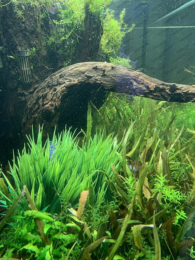 BEGONDIS 2Pcs Aquarium Decorations Fish Tank Artificial Green Water Plants Made of Soft Fabrics Plastic