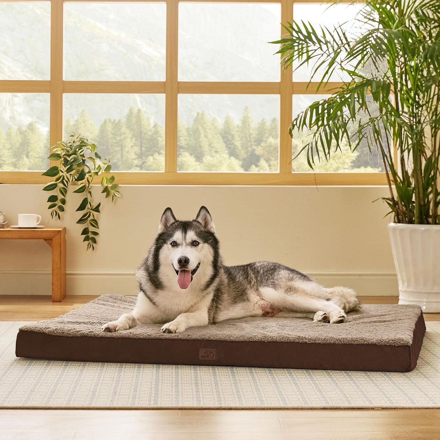 Bedsure XXL Dog Bed for Large Dogs - Orthopedic Flat Giant Pet Beds with Removable Washable Cover, Jumbo Egg Crate Foam Mat, Suitable for Pet Up to 150 lbs