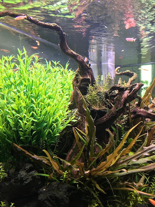 BEGONDIS Aquarium Decorations Fish Tank Artificial Green Water Plants Made of Soft Plastic