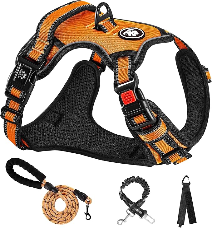 NESTROAD No Pull Dog Harness,Adjustable Oxford Dog Vest Harness with Leash,Reflective No-Choke Pet Harness with Easy Control Soft Handle for Small Dogs(Small,Orange)