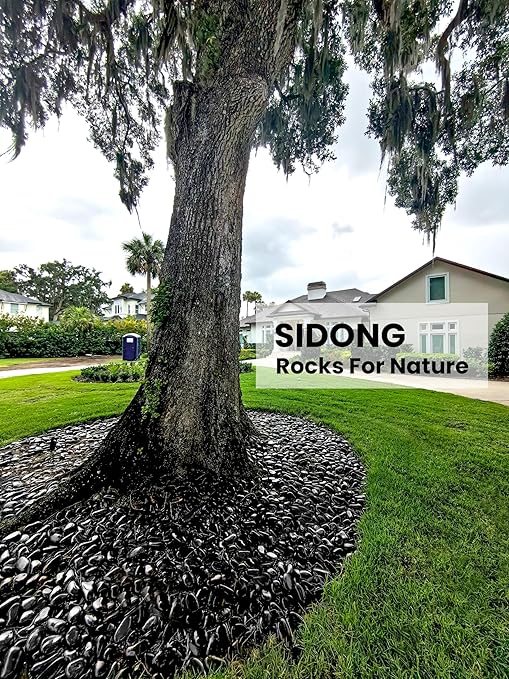 SIDONG 10 LB Black River Rocks, 0.4-1.2 Inches Highly Polished Pebbles for Indoor Plants, Decorative Stones for Plants, Fish Tank, Vases, Home Décor, Crafting, Garden Landscaping