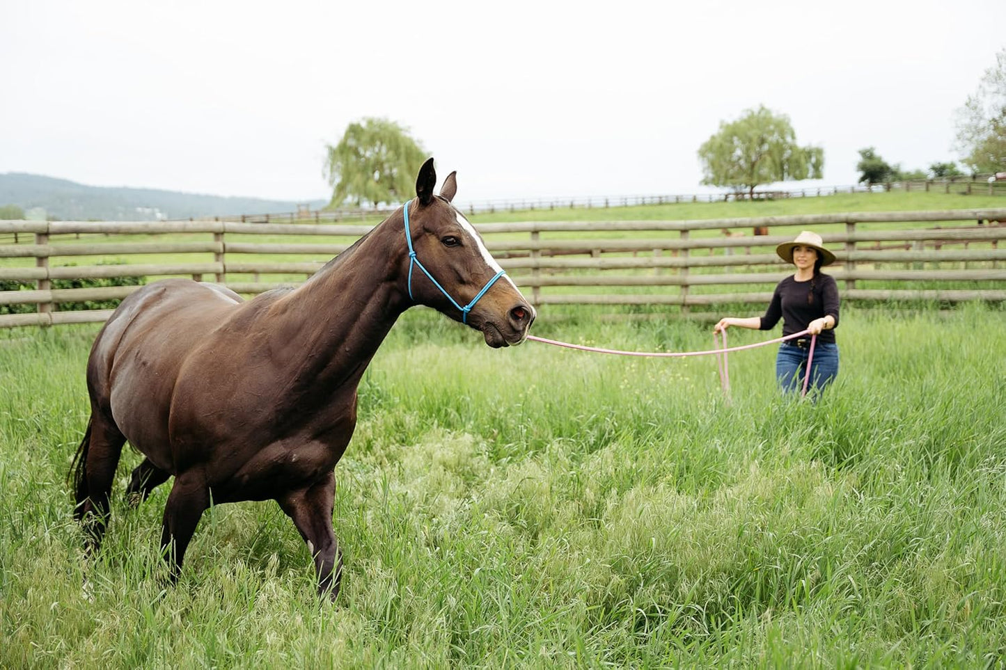 22' Long Line with SS O Ring and Carabiner (Red)