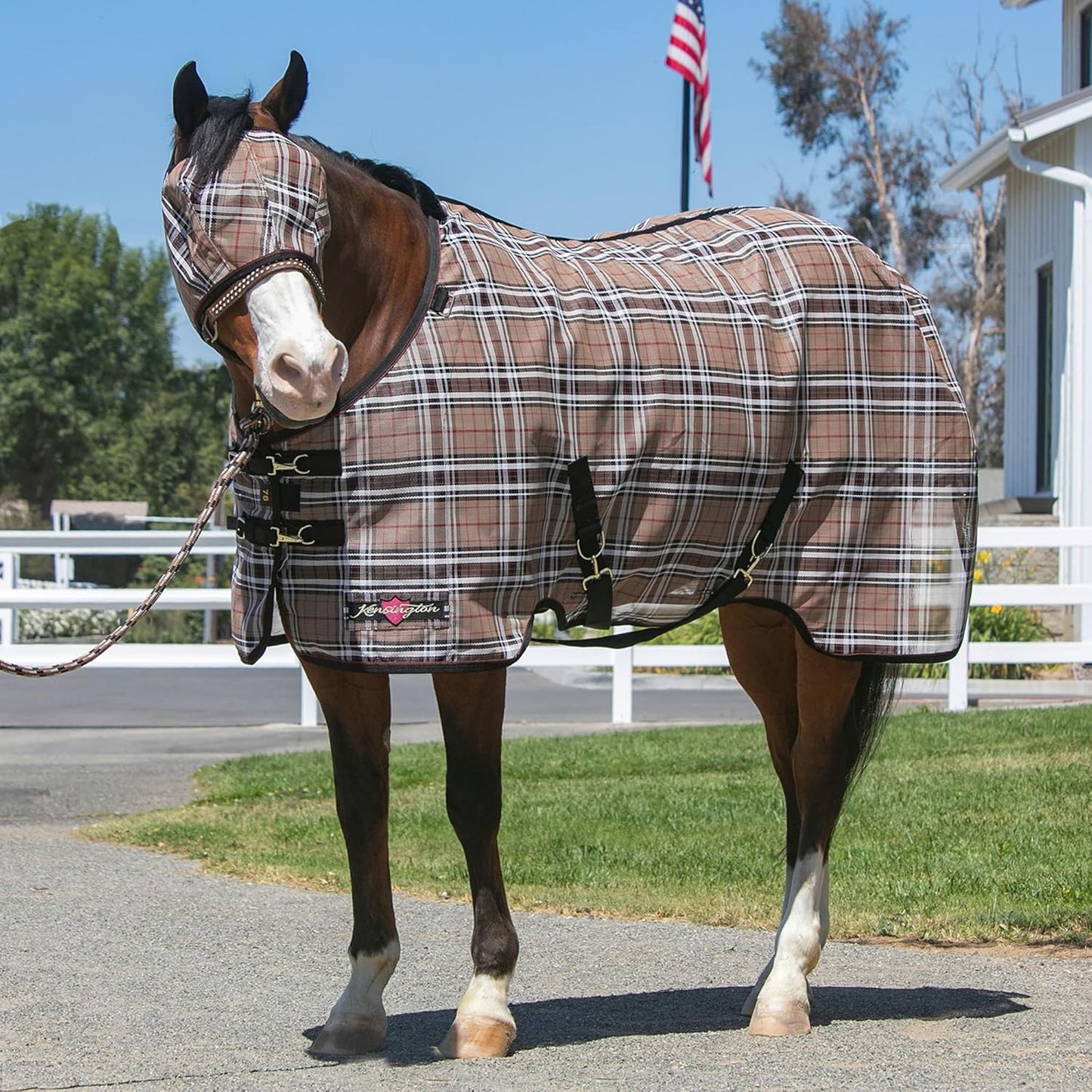 Kensington Fly Mask Web Trim — Protects Horses Face and Eyes From sun While Allowing Full Visibility — Ears and Forelock Able to Come Through the Mask, Medium, Deluxe Black