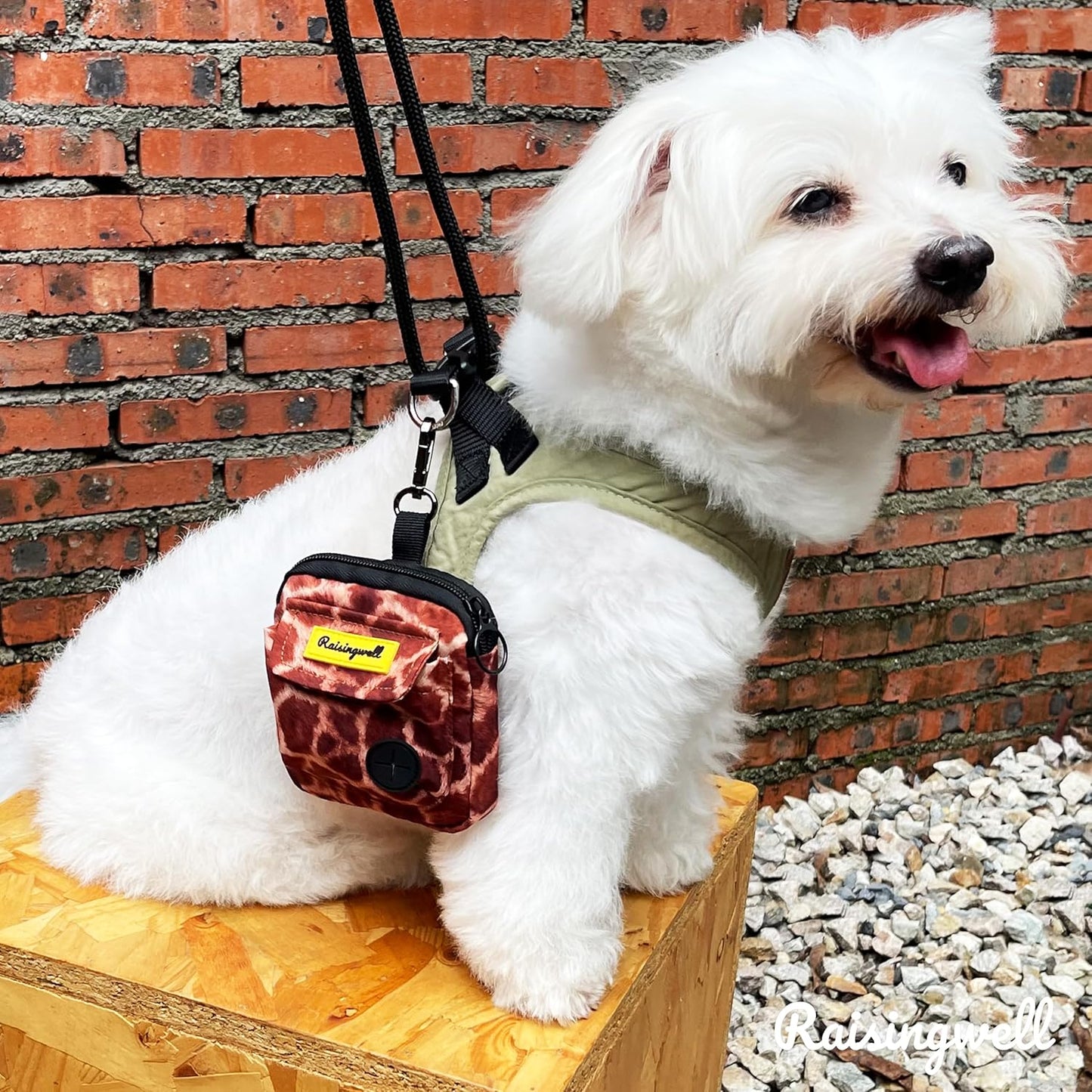 Dog Treat Pouch for Pet Walking and Training with Clicker Poop Bags and Double Bag Design Small Fanny Zipper Pack Holder for Puppy Snack Dispenser Kit for Leash and Outdoor Use Deer Hide Skin