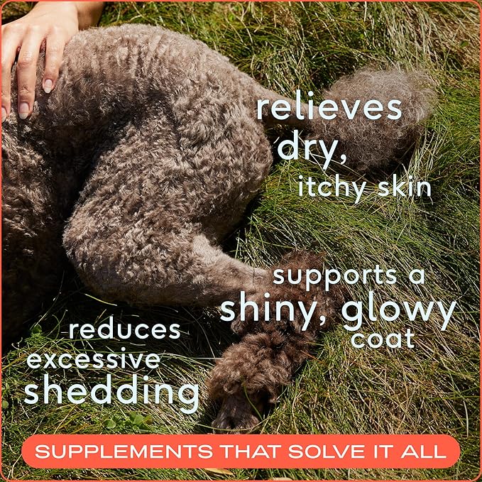 Native Pet Omega 3 Fish Oil for Dogs & Cats - Promotes Healthy Skin, Shiny Coat, & Strong Joints - Made with Wild Alaskan Salmon Oil for Dogs – Tasty, Fast-Absorbing Omega 3 6 9 Liquid Supplement-16oz