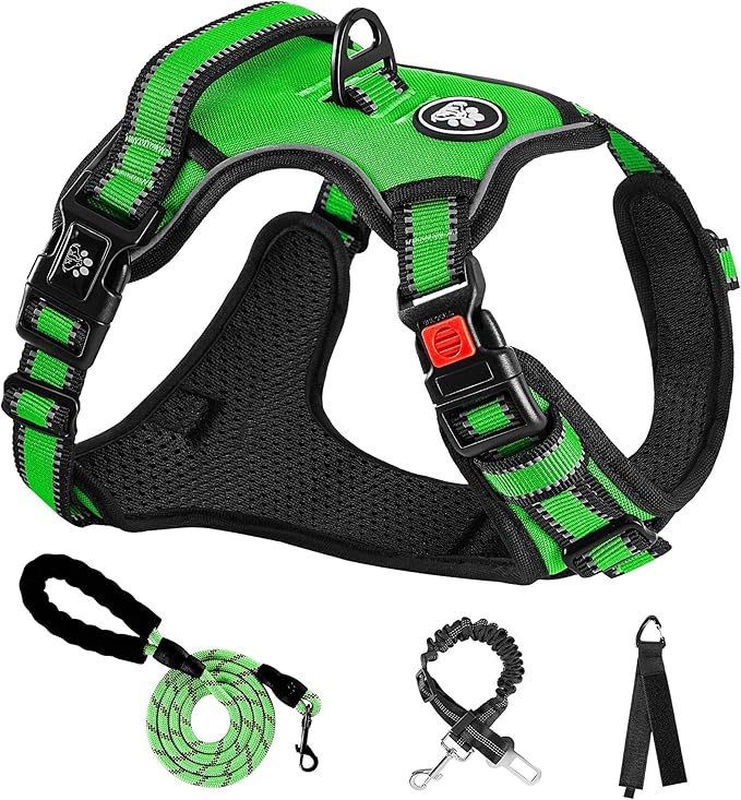 NESTROAD Dog Harness, Adjustable Oxford Harness with Leash, Reflective No-Choke Pet Vest with Easy Control Handle (M, Fluorescent Green)
