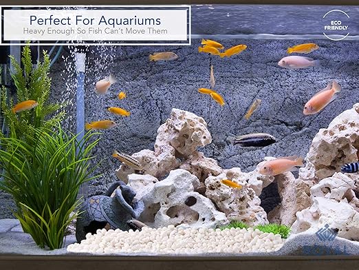 Royal Imports 5LB Decorative Stones River Pebbles Painting Rocks for Fish Aquariums, Plant Gravel, Landscaping, Home Decor Natural - Small White