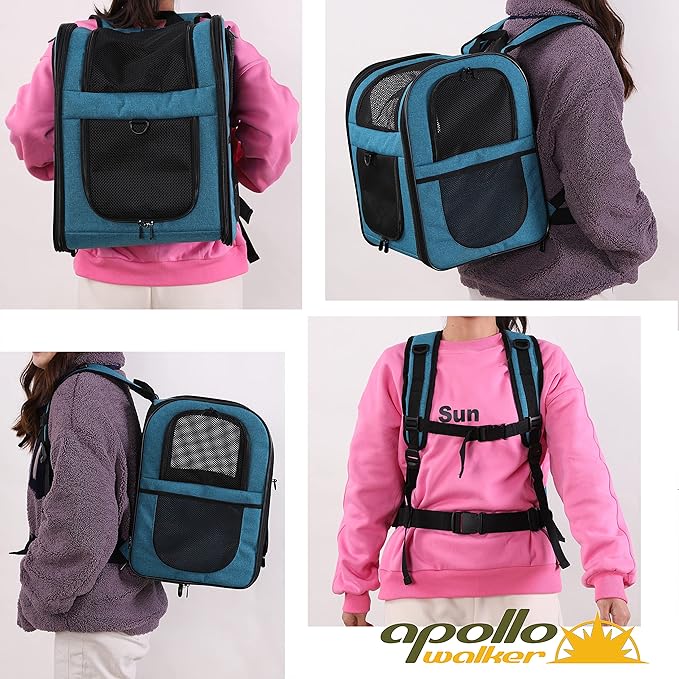 Apollo Walker Dog & Cat Carrier Backpack for 4-15lb Pets - Ventilated Safe Design with Padded Back Support, Breathable Mesh Pet Backpack for Hiking, Travel, Outdoor (Teal)